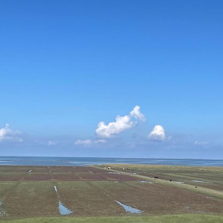 De Oude Smidse Ξενοδοχείο Westernieland Εξωτερικό φωτογραφία