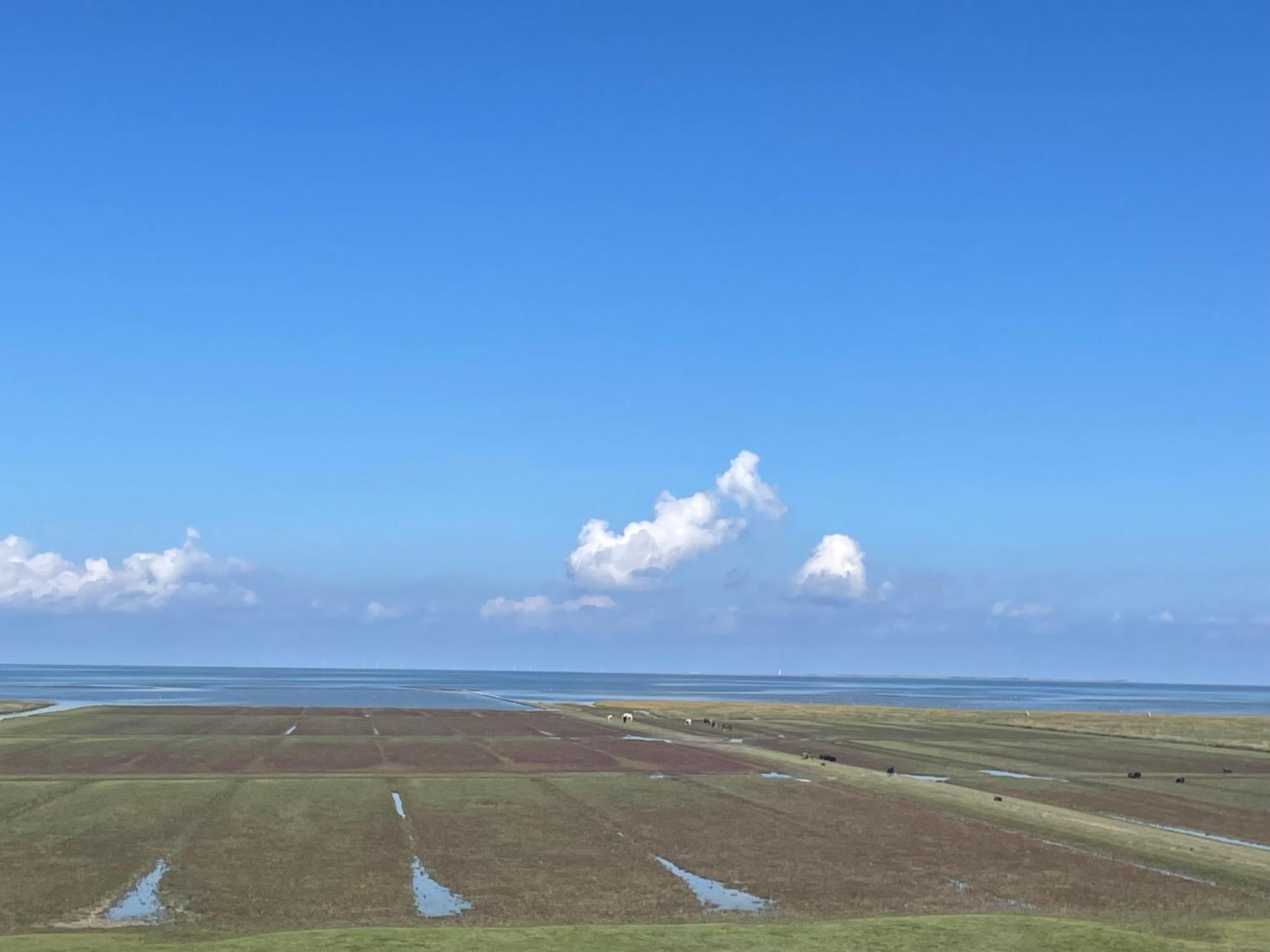 De Oude Smidse Ξενοδοχείο Westernieland Εξωτερικό φωτογραφία